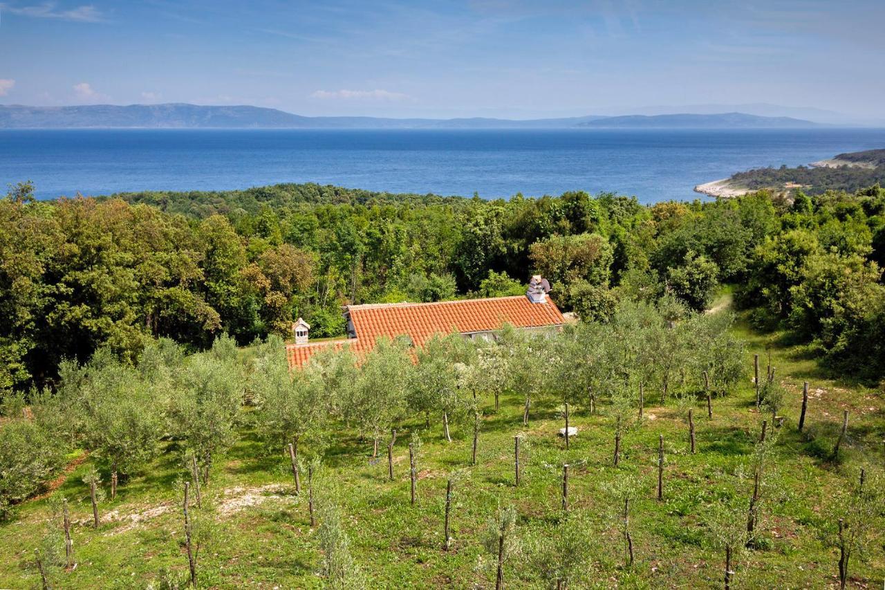 Roinizza In Prtlog Villa Labin  Eksteriør billede